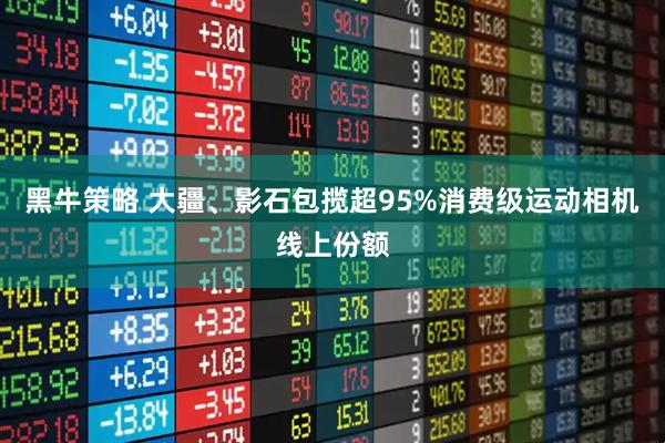 黑牛策略 大疆、影石包揽超95%消费级运动相机线上份额